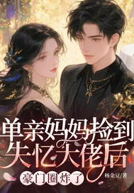 《单亲妈妈捡到失忆大佬后,豪门圈炸了》小说封面