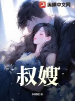《叔嫂》小说封面