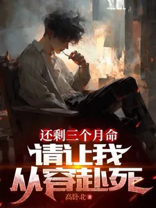 《还剩三个月命，请让我从容赴死》小说封面