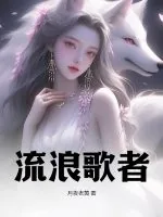 《流浪歌者》小说封面