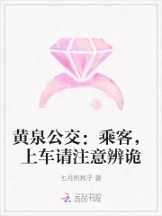 《黄泉公交:乘客,上车请注意辨诡》小说封面