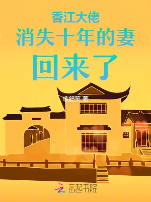 《香江大佬消失十年的妻回来了》小说封面