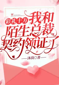 《彩礼十万,我和陌生总裁契约领证了》小说封面