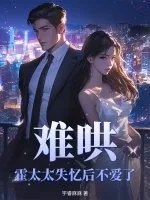 《难哄,霍太太失忆后不爱了》小说封面