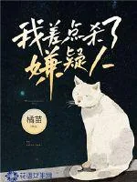 《我差点杀了嫌疑人》小说封面