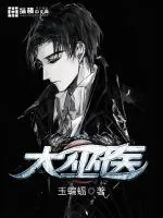 《大巫医》小说封面