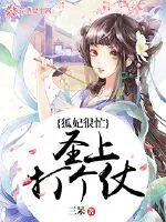 《狐妃很忙:圣上打个仗?》小说封面