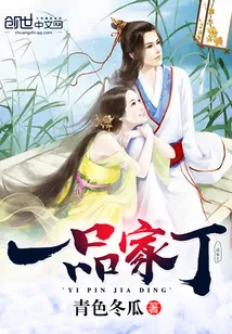 《一品家丁》小说封面
