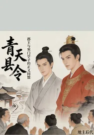 《青天县令:叶泽宇》小说封面