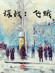 《谍战：飞蛾》小说封面