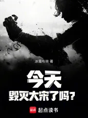 《今天毁灭大宋了吗？》小说封面