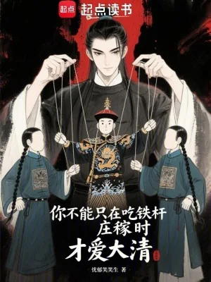 《你不能只在吃铁杆庄稼时才爱大清》小说封面