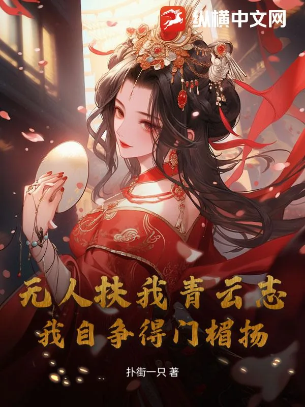 《无人扶我青云志，我自争得门楣扬》小说封面
