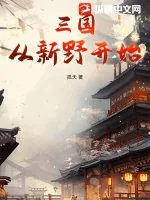 《三国：从新野开始》小说封面