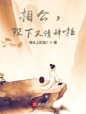 《相公，陛下又请辞啦》小说封面