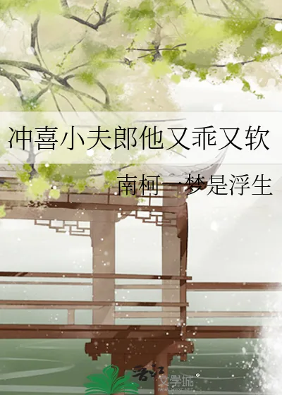 《冲喜小夫郎他又乖又软》小说封面