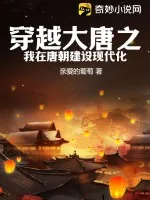 《穿越大唐之我在唐朝建设现代化》小说封面