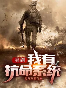 《亮剑:我有抗命系统》小说封面