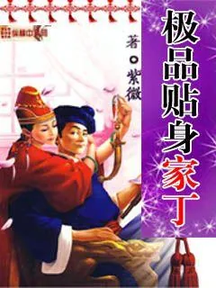 《极品贴身家丁》小说封面