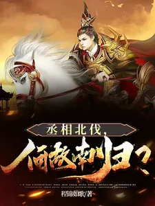 《丞相北伐，何故南归？》小说封面