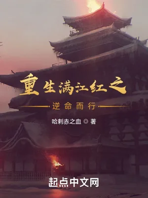 《重生满江红之逆命而行》小说封面