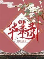 《朱门华章录》小说封面
