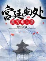 《宫廷幽处孤芳难自赏》小说封面
