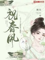 《祝春风》小说封面