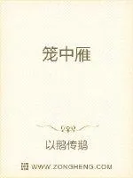 《笼中雁》小说封面