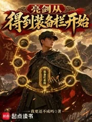 《亮剑：从得到装备栏开始》小说封面