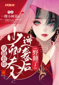 《穿越套娃:少卿夫人逆袭后野翻了》小说封面