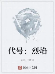 《代号:烈焰》小说封面