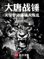 《大唐战锤:天宝梦碎,藩镇大叛乱》小说封面