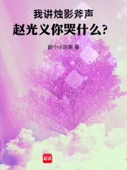 《我讲烛影斧声,赵光义你哭什么?》小说封面