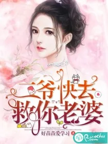 《二爷,快去救你老婆》小说封面