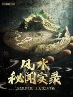 《风水秘闻实录》小说封面