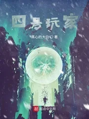 《四号玩家》小说封面