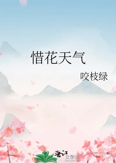 《惜花天气》小说封面